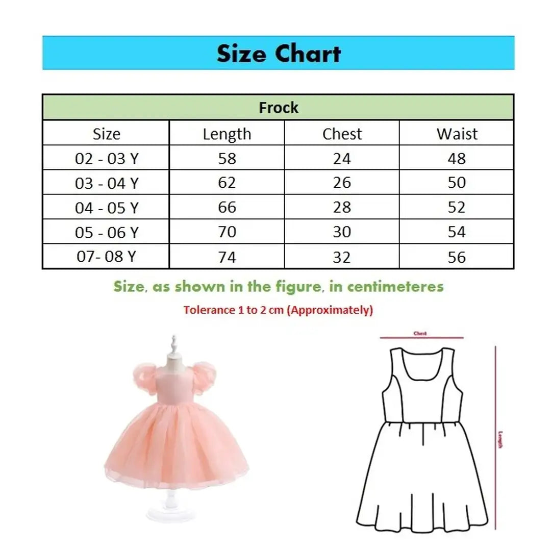 Organza Puffy Short Sleeve Stylish Dress 9 - Minitaq baby kids clothes dress