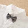 Formal Shirt With Gray Gallace Pant 2pc Set